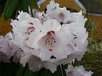 26-04-2006_11-02-34_36