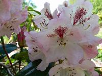 2008-05-23_08-57-26_0066