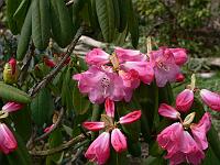 17-04-2006_15-08-45_104