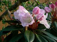 11-05-2006_19-21-08_245