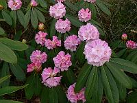 19-04-2006_08-16-28_23