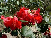 2009-04-12_10-34-03_0051