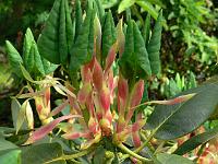 29-05-2006_17-09-30_189