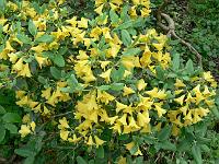 22-05-2007_14-03-06_11