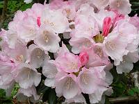 27-05-2006_09-02-34_07