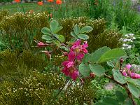 07-06-2006_21-54-53_84