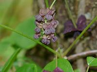 2013-05-22_17-49-42_0112