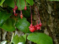 2012-09-11_08-59-57_0123