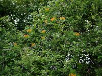 2012-06-16_20-01-41_0220