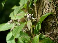 2012-08-17_09-03-47_0279