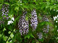 2013-06-13_17-37-37_0002