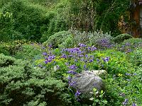 18-05-2007_17-48-54_37