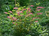 12-05-2006_09-27-52_140