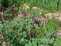 12-05-2006_12-54-43_112