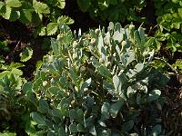 2014-04-26_12-33-55_0066