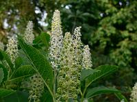 13-07-2007_19-51-34_26