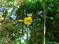 20-05-2007_12-06-58_46