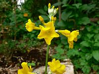 28-05-2007_11-49-53_21