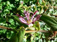 07-10-2006_12-23-16_06