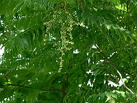 2010-07-23_09-42-16_0116