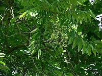 2010-07-27_14-37-13_0005