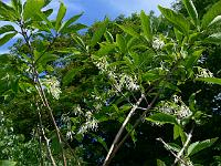 2010-06-28_09-42-58_0167