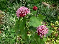 02-08-2007_13-23-53_40