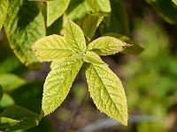 2012-07-31_09-46-51_0078