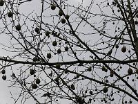 06-11-2006_10-59-58_17