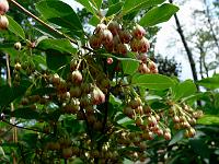 2011-05-13_10-22-45_0040