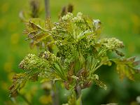 2014-05-07_11-06-55_0046