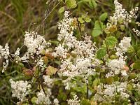 2012-06-26_13-26-44_0232