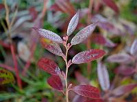 2012-01-25_13-23-53_0025