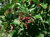 2009-07-28_09-00-01_0107