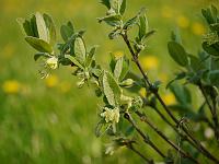 2014-04-22_08-18-36_0033