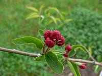 2010-05-13_07-49-51_0056