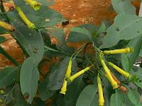 2010-08-22_11-32-30_0047