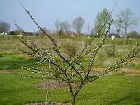 2012-04-30_07-41-49_0090