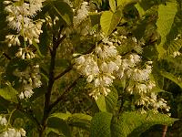 2013-06-24_07-47-04_0017