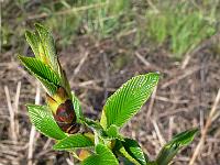 2011-04-20_15-40-02_0309