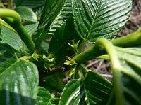 2011-05-11_15-02-56_0047