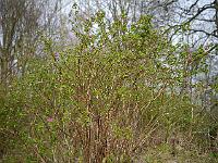 2014-04-04_09-09-39_0130