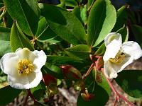 2008-06-30_16-59-38_0132