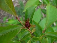 2010-06-18_18-09-44_0018