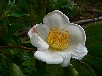 2010-07-11_09-06-49_0091