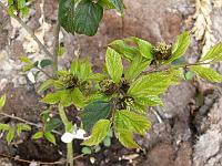 2009-04-29_07-52-19_0057