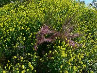 2011-05-23_08-46-09_0029