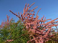 2010-09-21_17-24-04_0040