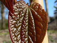 2009-04-18_07-39-41_0178