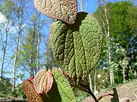 2009-05-10_09-15-03_0067